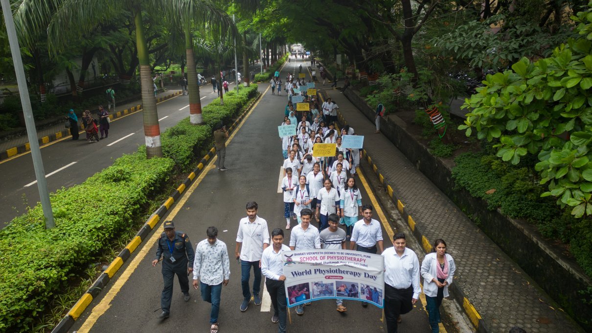 World Physiotherapy Day