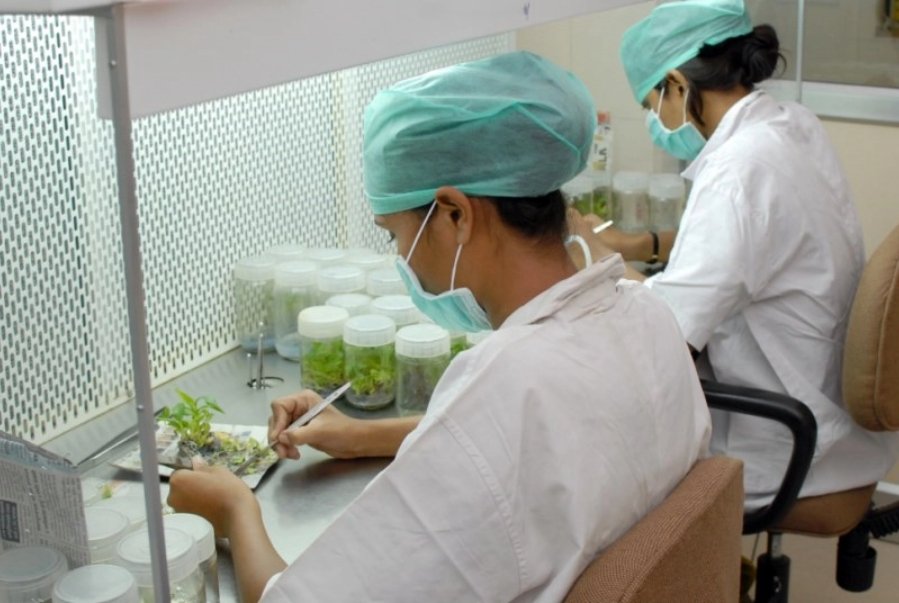 various_constituent_img