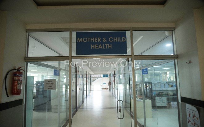 maternal nutrition